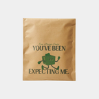 Kraft Paper Courier Bags